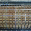 2x2 Welded Wire Mesh Security Fence